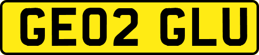 GE02GLU