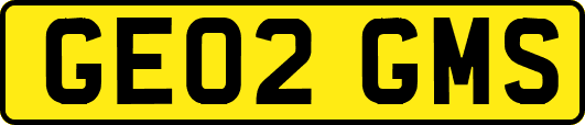 GE02GMS