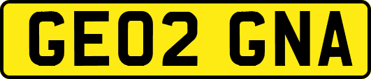 GE02GNA