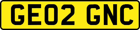 GE02GNC