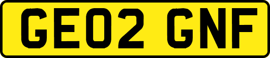 GE02GNF