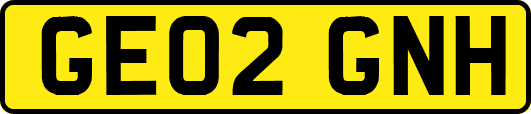 GE02GNH