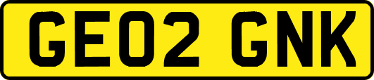 GE02GNK
