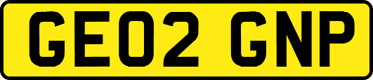 GE02GNP