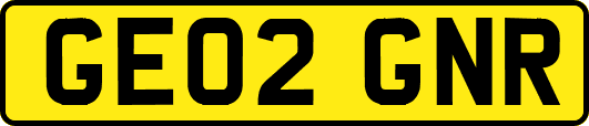 GE02GNR