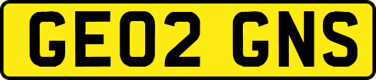 GE02GNS