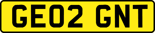 GE02GNT