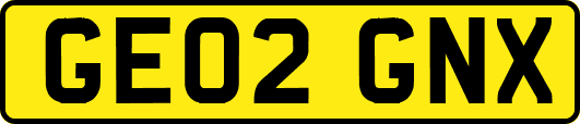 GE02GNX