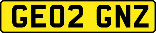 GE02GNZ