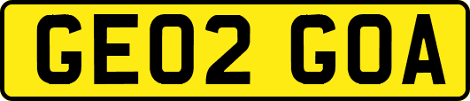 GE02GOA