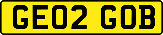 GE02GOB