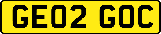 GE02GOC