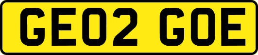 GE02GOE