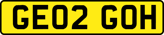 GE02GOH