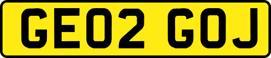GE02GOJ