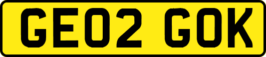GE02GOK
