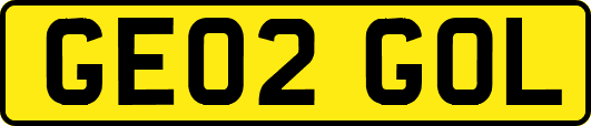 GE02GOL