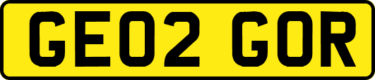 GE02GOR