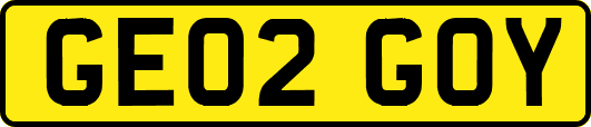 GE02GOY