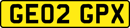 GE02GPX