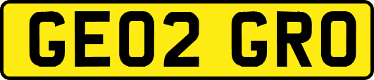 GE02GRO