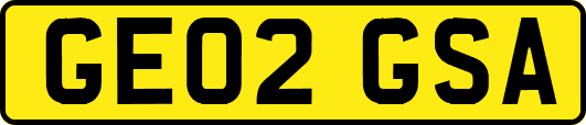 GE02GSA