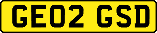 GE02GSD