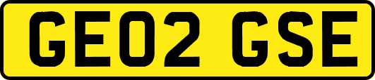 GE02GSE