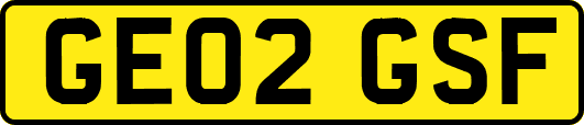 GE02GSF