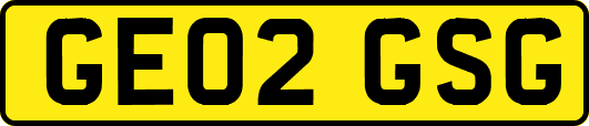 GE02GSG