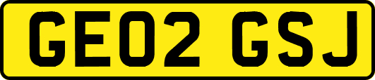 GE02GSJ