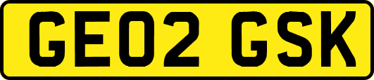 GE02GSK