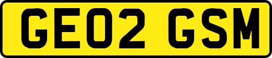 GE02GSM