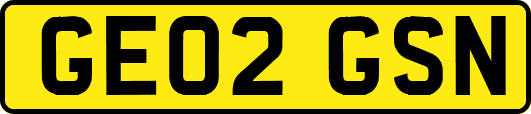 GE02GSN