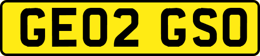GE02GSO