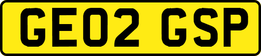 GE02GSP