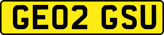 GE02GSU