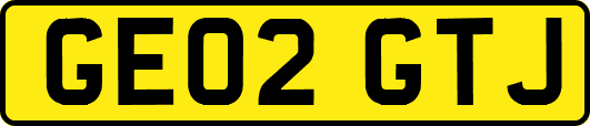 GE02GTJ