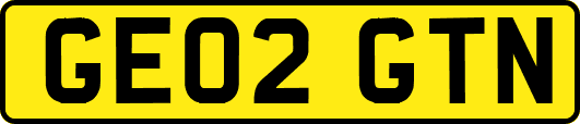 GE02GTN