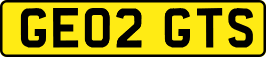 GE02GTS