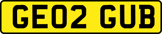GE02GUB