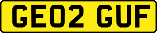 GE02GUF