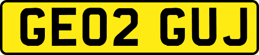 GE02GUJ