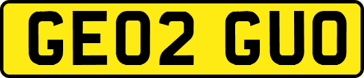 GE02GUO