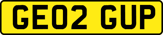 GE02GUP