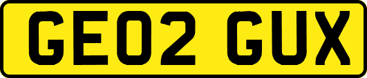 GE02GUX