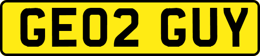 GE02GUY