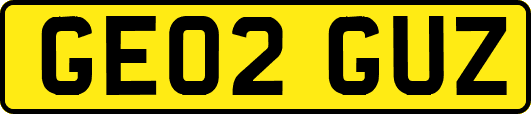 GE02GUZ