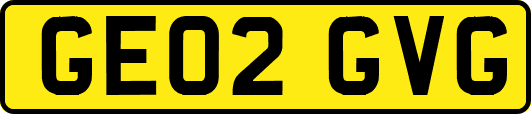 GE02GVG