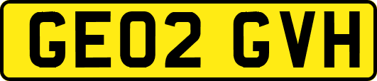 GE02GVH